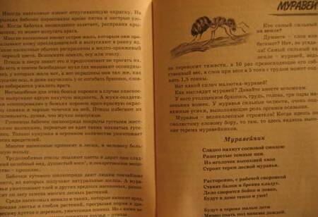 Фотография книги "Татьяна Шорыгина: Насекомые. Какие они? Книга для воспитателей, гувернеров и родителей"