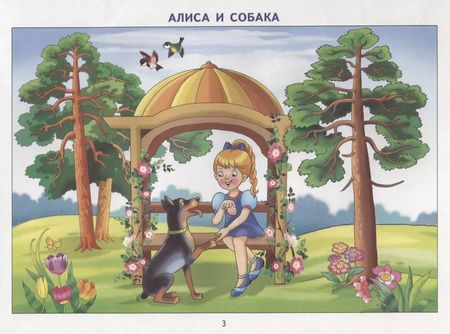 Фотография книги "Татьяна Ткаченко: Фонетические рассказы с картинками. Свистящие звуки. 5-7 лет"