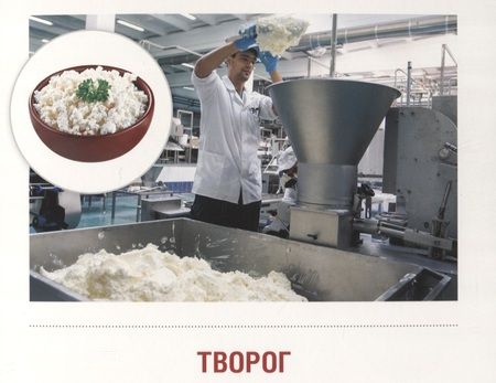 Фотография книги "Татьяна Цветкова: Молоко и молочные продукты. 16 демонстрационных картинок с тексом на обороте"