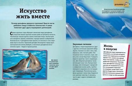 Фотография книги "Татьяна Земцова: Энциклопедия животных. Взрослые и детёныши"