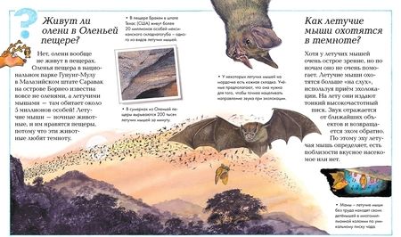 Фотография книги "Тэйлор, Макдональд, Паркер: Что, зачем и почему?"
