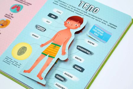 Фотография книги "Тело человека"