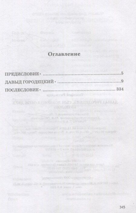 Фотография книги "Тимофей Рахманин: Давыд Городецкий. Сын Довмонта"