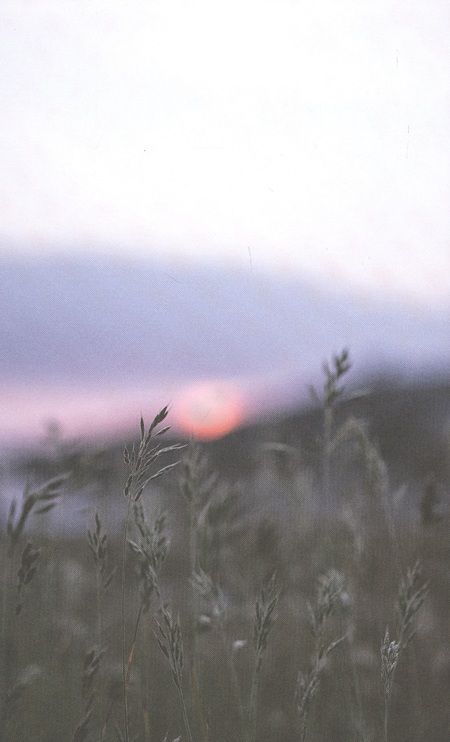 Фотография книги "Торгебю, Торгебю: Под открытым небом. Как жить в гармонии с природой"