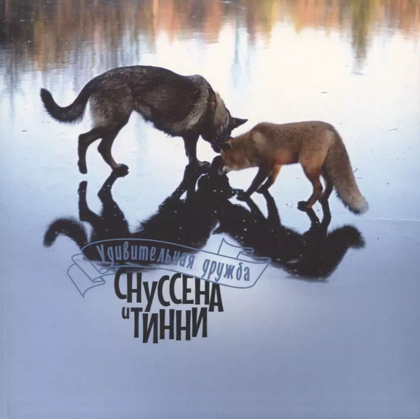 Обложка книги "Торкиль Берге: Удивительная дружба Снуссена и Тинни"