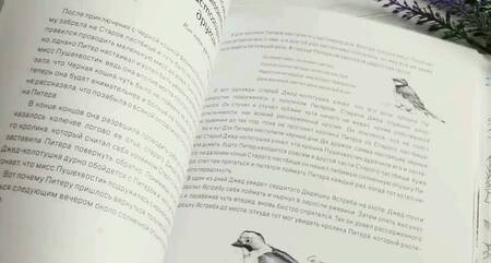 Фотография книги "Торнтон Берджесс: Про кролика Питера и госпожу Крольчиху"