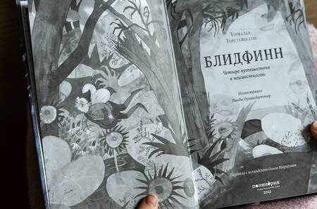 Фотография книги "Торстейнссон: Блидфинн. Четыре путешествия в неизвестность"