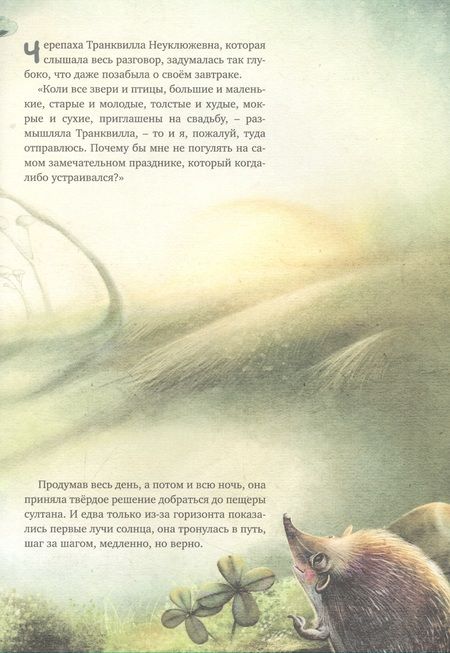 Фотография книги "Транквилла Неуклюжевна, или Сказка о черепахе, которая приняла твёрдое решение"