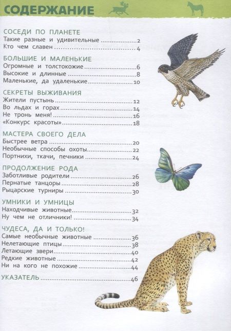 Фотография книги "Травина ИринаУдивительные животные. Энциклопедия для детского сада"