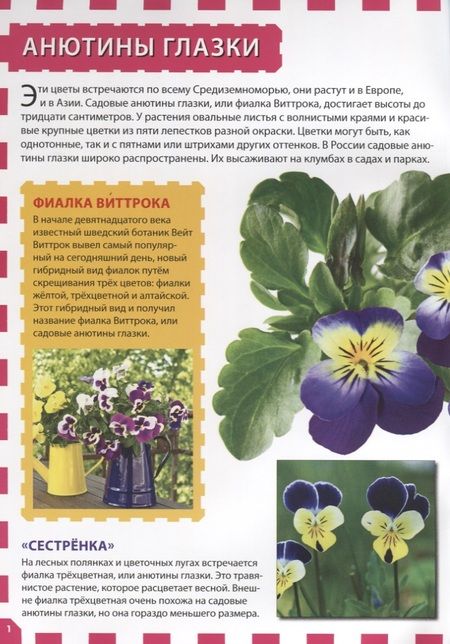 Фотография книги "Цветы"