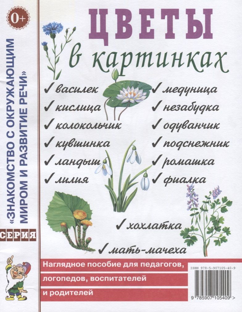 Обложка книги "Цветы в картинках. Наглядное пособие для педагогов, логопедов, воспитателей и родителей"