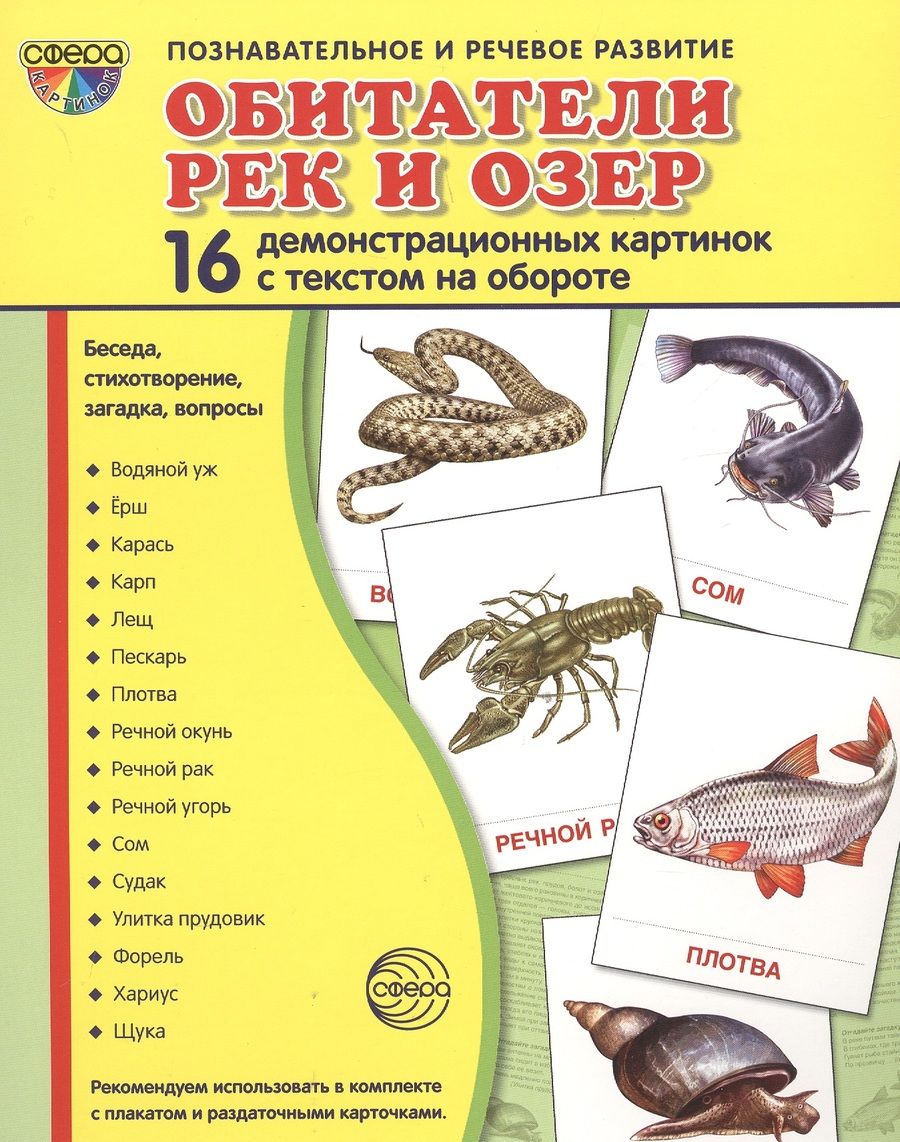 Обложка книги "Цветкова, Цветкова: Обитатели рек и озер. 16 демонстрационных картинок с текстом на обороте"