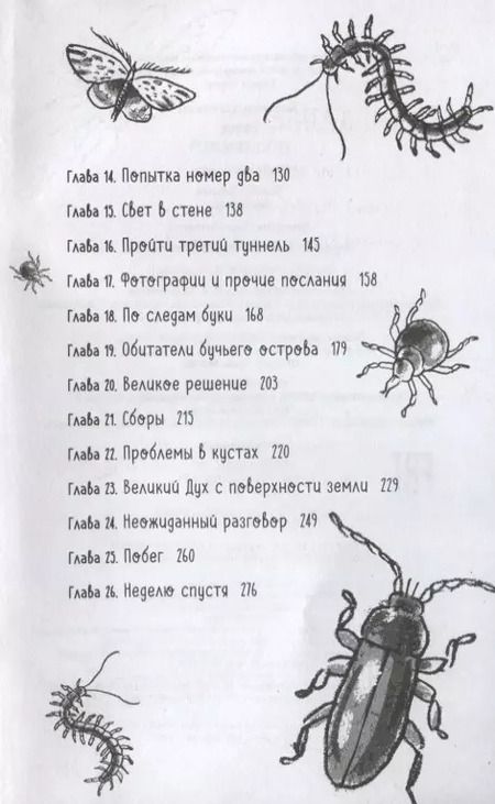 Фотография книги "Туутикки Толонен: Бука. Под землей"