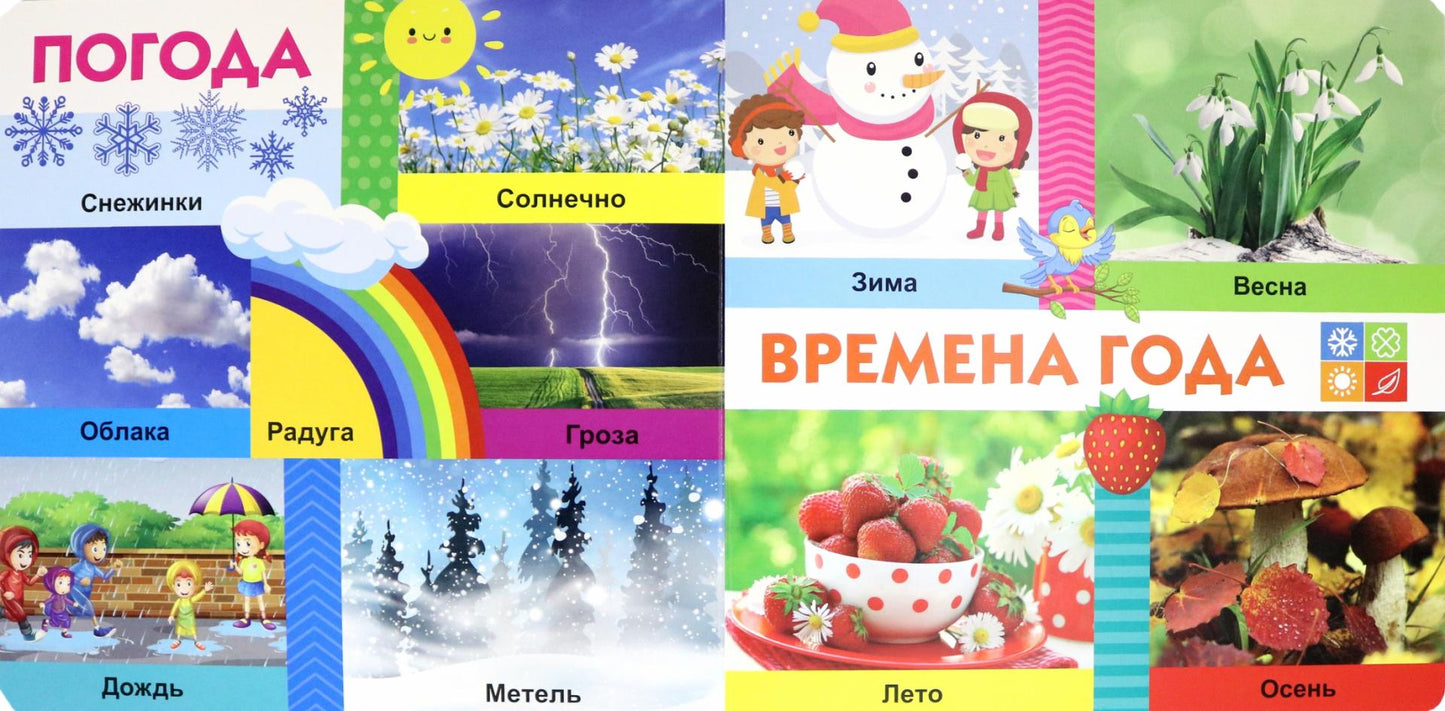 Фотография книги "Твои любимые книжки. Мир вокруг тебя"