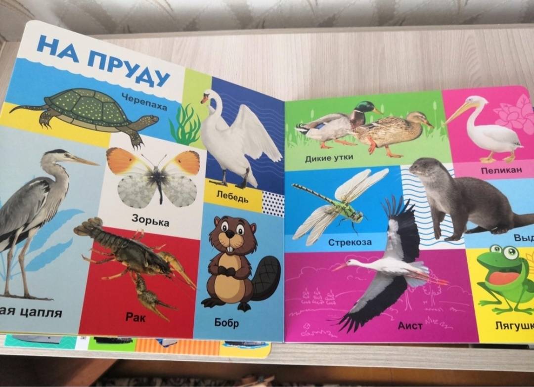 Фотография книги "Твои любимые книжки. Мир вокруг тебя"