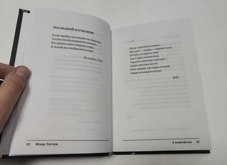Фотография книги "Тютчев: Я встретил вас"