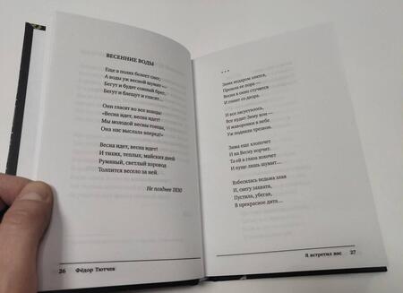 Фотография книги "Тютчев: Я встретил вас"