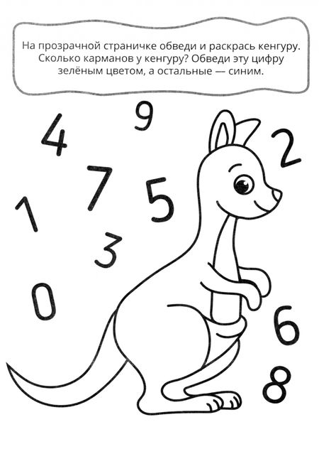 Фотография книги "Учим цифры"