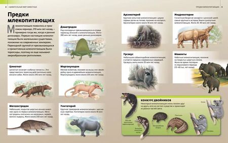 Фотография книги "Удивительный мир животных"