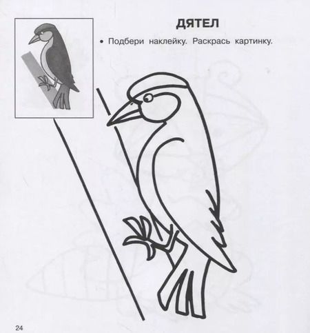 Фотография книги "В лесу"