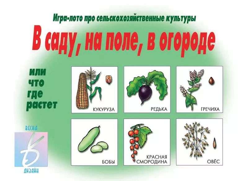 Обложка книги "В саду, на поле, в огороде. Игра-лото"