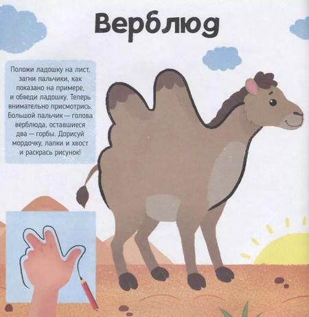 Фотография книги "В зоопарке. Книжка-раскраска для детей"
