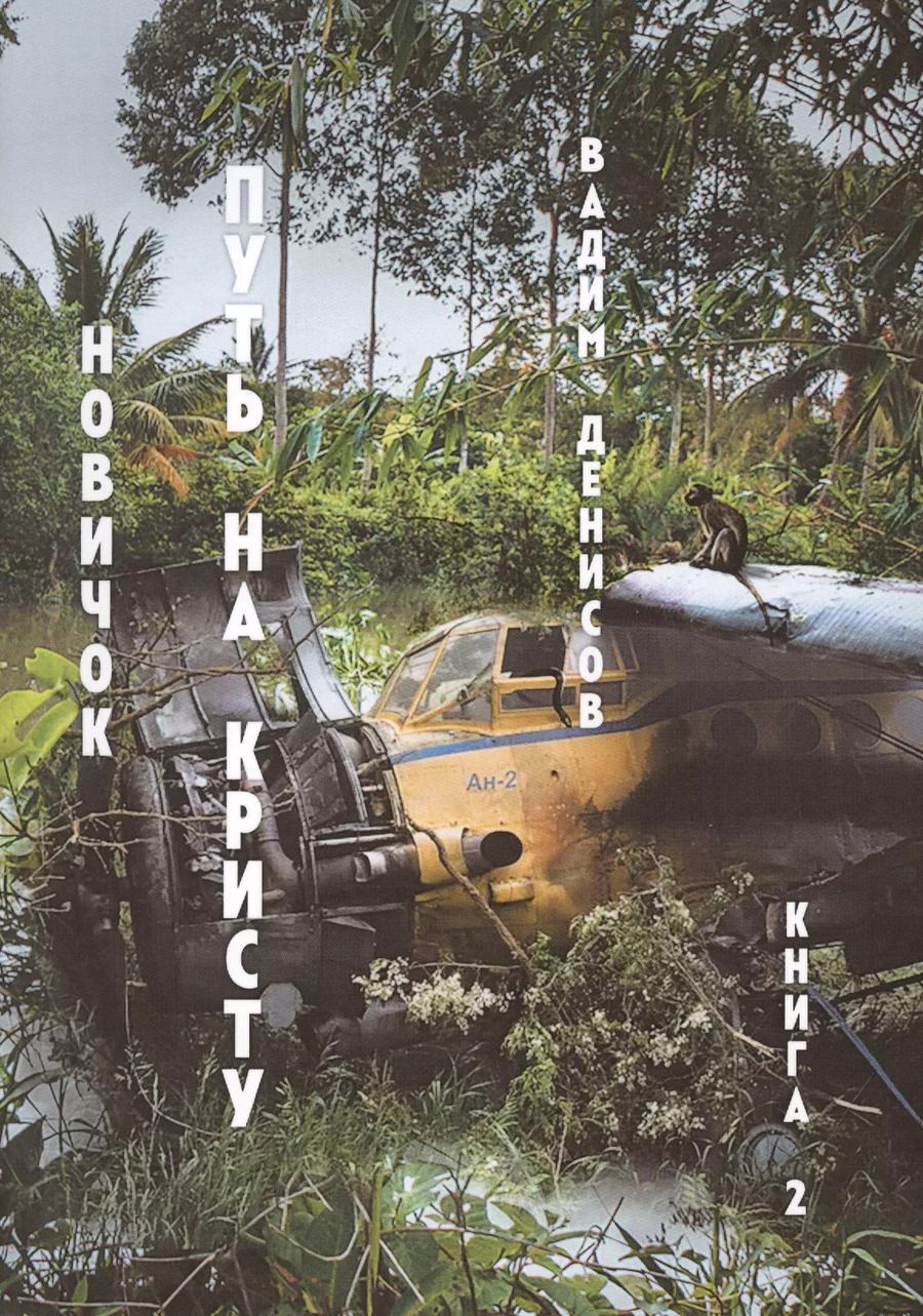 Обложка книги "Вадим Денисов: Путь на Кристу. Новичок. Книга 2"