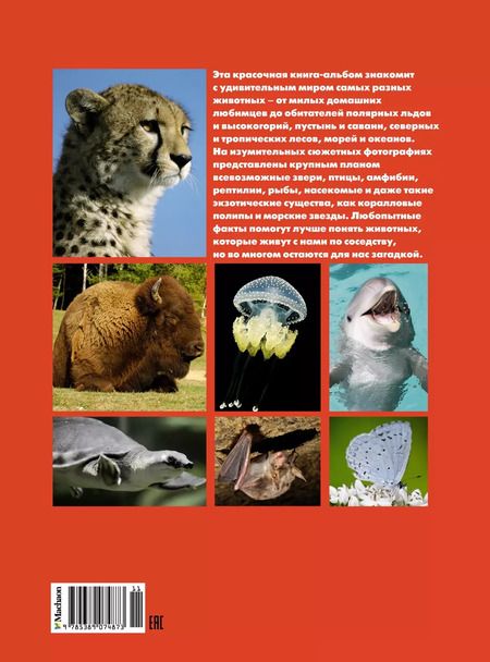 Фотография книги "Валентина Бологова: Моя большая книга о животных"
