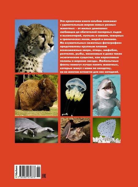 Фотография книги "Валентина Бологова: Моя большая книга о животных"