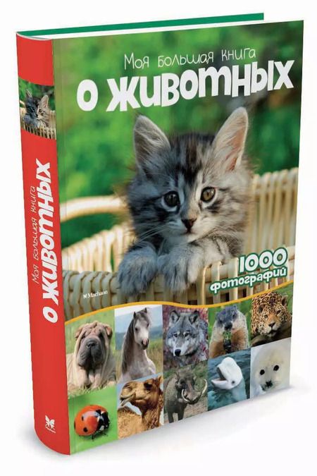 Фотография книги "Валентина Бологова: Моя большая книга о животных"
