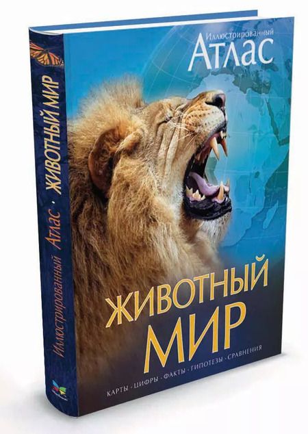 Фотография книги "Валентина Бологова: Животный мир. Иллюстрированный атлас"