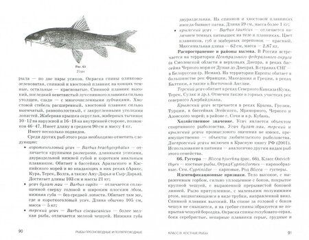 Фотография книги "Валерий Позняковский: Атлас аннотированный. Рыбы пресноводные и полупроходные"