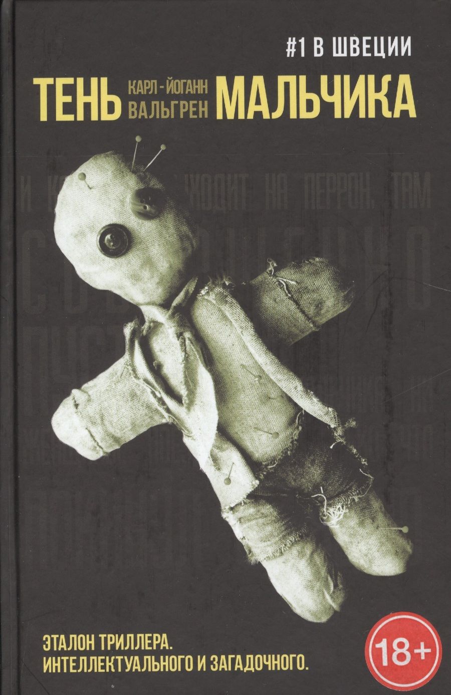 Обложка книги "Вальгрен Карл-Йоганн: Тень мальчика"