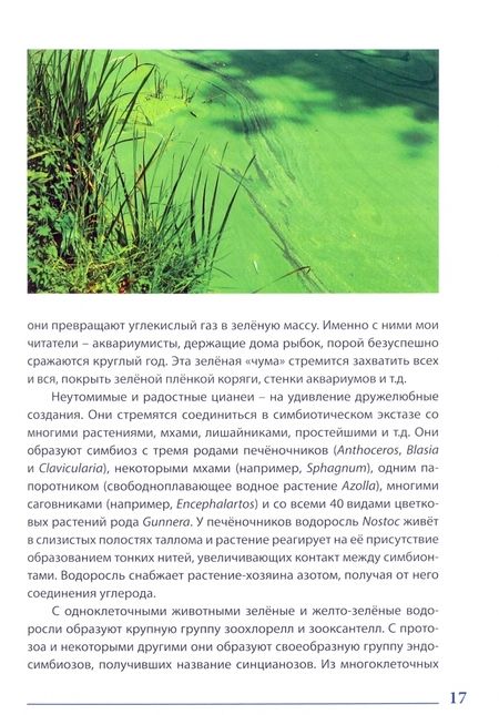 Фотография книги "Василий Климов: Кто с кем дружит в природе, или Причуды симбиоза"