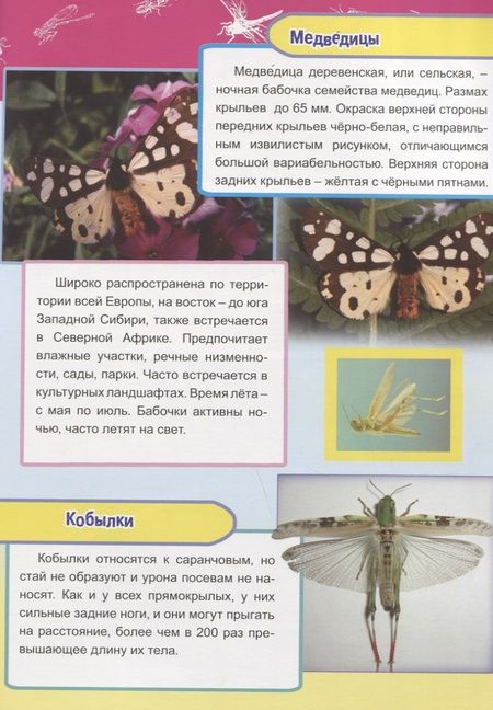 Фотография книги "Василий Климов: Насекомые, рыбы и рептилии Европы"