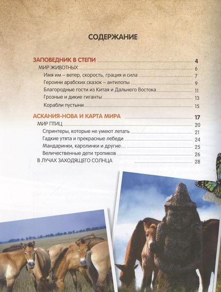 Фотография книги "Василий Климов: О птичках, рыбках и зверюшках"