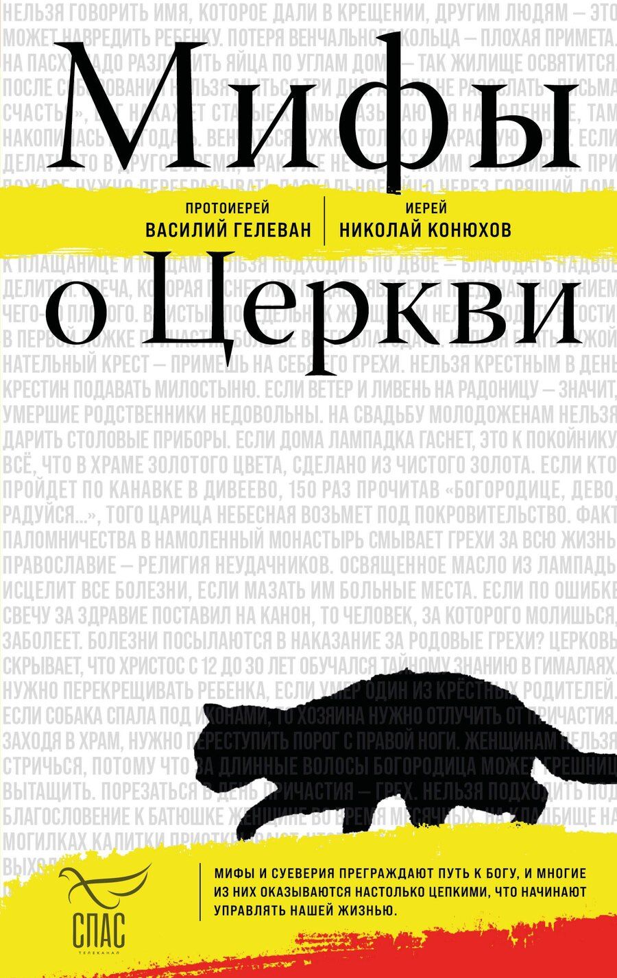 Обложка книги "Василий, Николай: Мифы о Церкви"