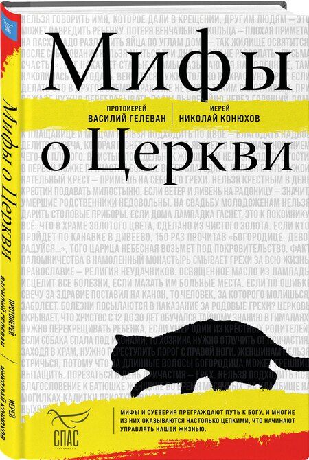 Фотография книги "Василий, Николай: Мифы о Церкви"