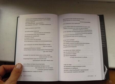 Фотография книги "Васякина, Писарева: Ветер ярости"