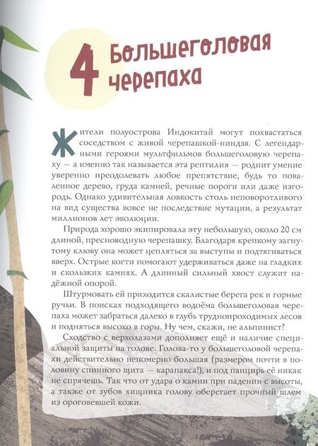 Фотография книги "Великолепная десятка. Черепахи"