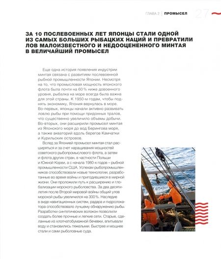 Фотография книги "Вертянкина, Дробышева, Камилева: Неизвестный минтай. О промысле и потреблении рыбы в России и за рубежом"