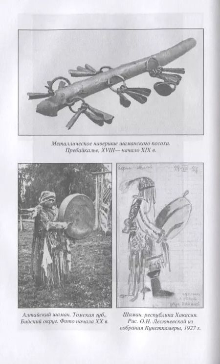 Фотография книги "Виктор Михайловский: Шаманизм"