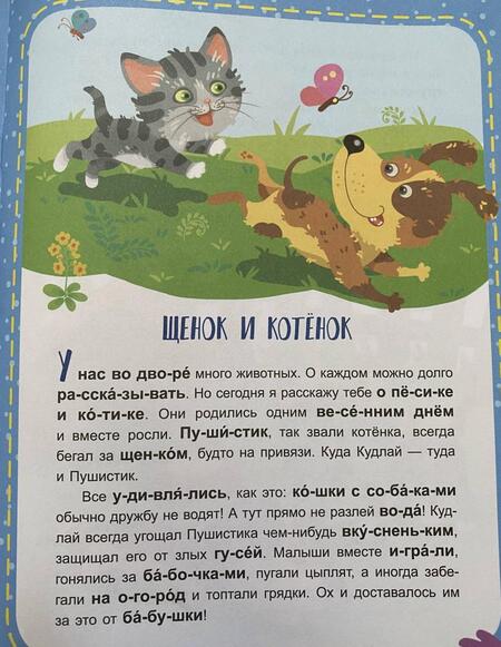 Фотография книги "Виктория Федосова: Загадки природы. 3 уровень сложности"