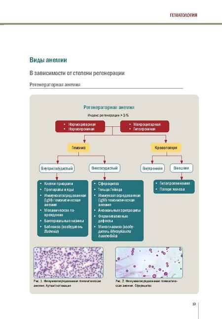 Фотография книги "Вильяльба, Санчес: Интерпретация лабораторных тестов и алгоритмов дифференциальной диагностики у собак и кошек"