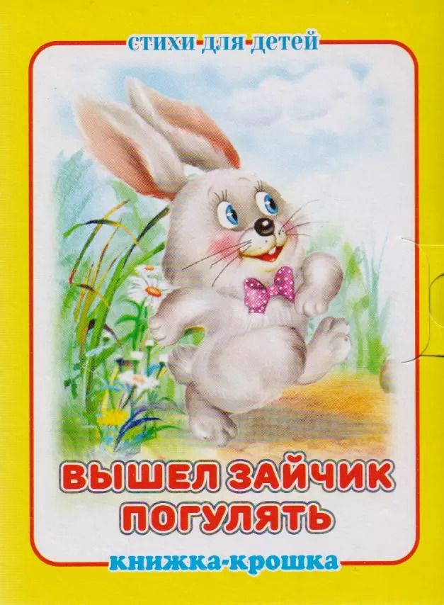 Обложка книги "Вышел зайчик погулять. Стихи для детей. Книжка-крошка с замочком"