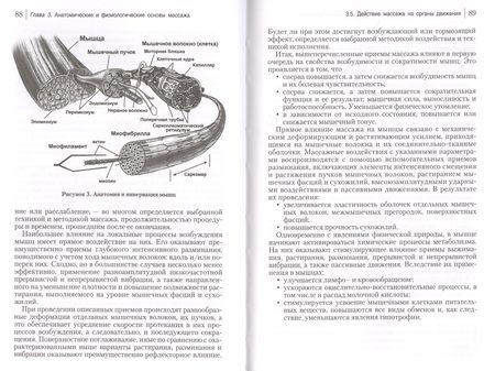 Фотография книги "Виталий Пинчук: Классика массажа. Учебник для массажистов"