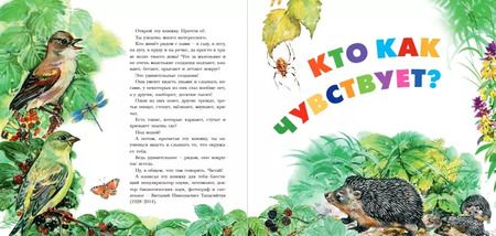 Фотография книги "Виталий Танасийчук: Хочу всё знать о животных"