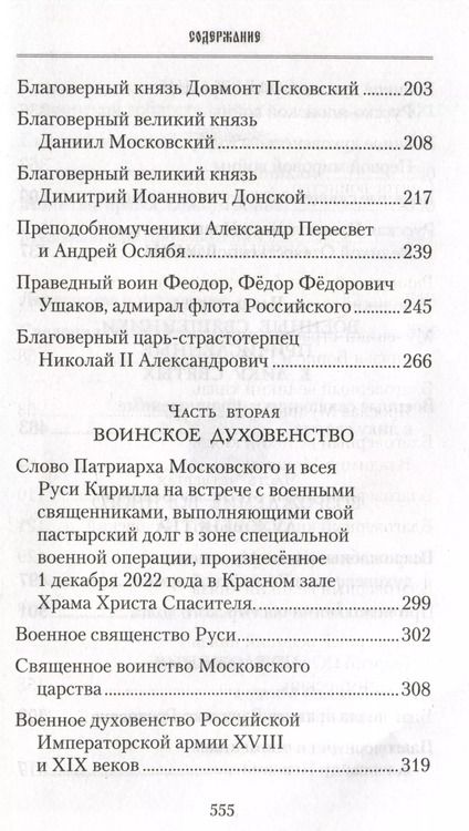 Фотография книги "Владимир Анищенков: Русские святые воины в тысячелетней истории России"