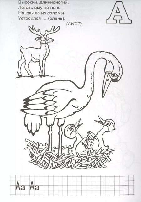 Фотография книги "Владимир Борисов: Азбука загадок-обманок"