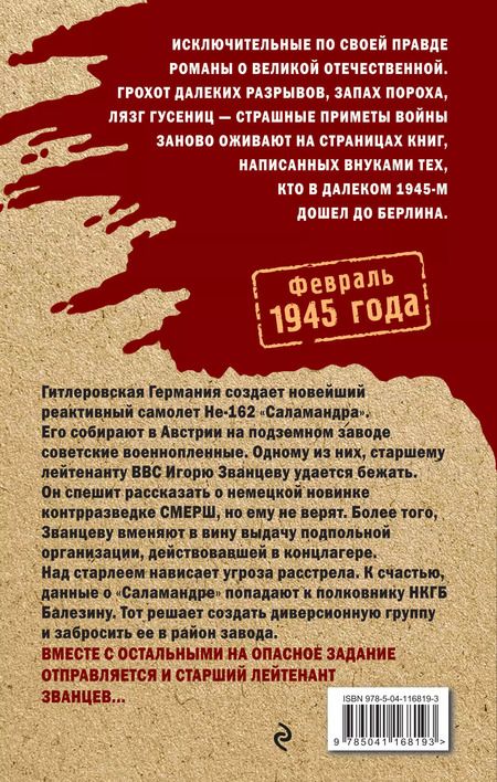 Фотография книги "Владимир Каржавин: Небесные мстители"